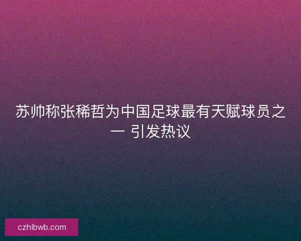 苏帅称张稀哲为中国足球最有天赋球员之一 引发热议