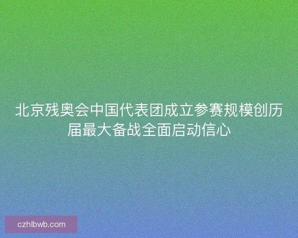 北京残奥会中国代表团成立参赛规模创历届最大备战全面启动信心