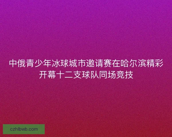 中俄青少年冰球城市邀请赛在哈尔滨精彩开幕十二支球队同场竞技